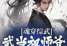 《魂穿综武:武当祖师爷出山了》小说章节在线试读,《魂穿综武:武当祖师爷出山了》最新章节目录-侠客文学