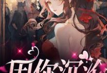 因你沉沦这本小说怎么样？免费在线阅读试试-侠客文学