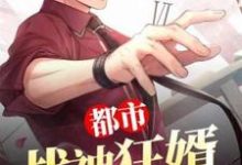 求推荐可以免费阅读都市战神狂婿小说的网站-侠客文学