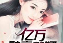 完整版的亿万神豪赘婿小说在哪里可以免费读到？-侠客文学