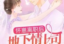 温绯沈司煌为主角的小说好看吗?求怀崽离职后,地下情上司让我转正了免费试读-侠客文学