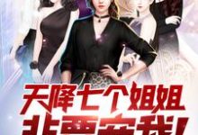 天降七个姐姐非要宠我!小说的无弹窗阅读体验,寻找免费阅读网站-侠客文学