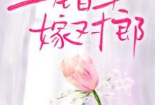 《上错车,嫁对郎》全集免费在线阅读( 叶渺江约城)-侠客文学