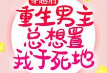 寻找穿越后，重生男主总想置我于死地小说的最新更新章节-侠客文学