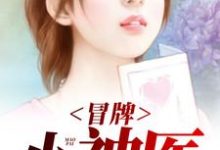 已完结小说《冒牌小神医》最新章节-侠客文学