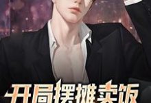 免费阅读赵言为主角的小说，开局摆摊卖饭，我能加点升级在线看-侠客文学