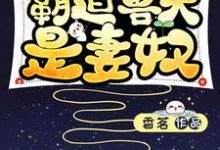 向晚晚林小说在哪里可以看-侠客文学