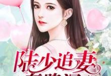 陆少追妻套路深最新章节，陆少追妻套路深章节在线阅读-侠客文学