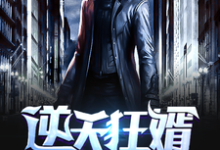 哪里能找到逆天狂婿小说的全部章节?-侠客文学