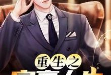 小说《重生之富豪人生》章节免费阅读-侠客文学