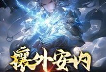 徐平的小说在哪里看？免费在线阅读攘外安内，一人亦可为-侠客文学