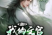 急！我的文官手持万斤神力小说的所有章节都能在哪里免费读到？-侠客文学