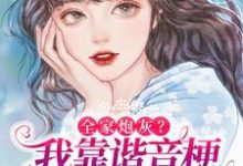 全家炮灰?我靠谐音梗修改剧情逆袭秦以漾陆晏之小说免费阅读-侠客文学