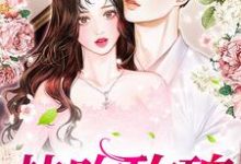 南栀商辰禹为主角的小说叫什么？免费看热吻玫瑰-侠客文学