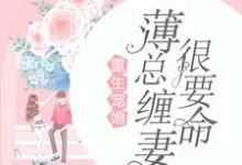 主角叫曲瓷薄时延曲洛依的小说在哪阅读-侠客文学