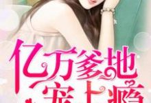 男女主人公苏洛洛龙夜爵小说亿万爹地宠上瘾章节免费阅读-侠客文学