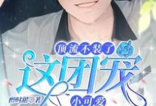 苏允儿时宴小说在线章节免费阅读（顶流不装了，这团宠小可爱我要了无弹窗无删减）-侠客文学