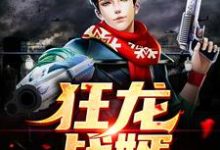 免费在线阅读狂龙战婿小说的正规网站有哪些?-侠客文学