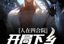 免费阅读陈岩陈遥为主角的小说，人在四合院，开局下乡插队北大荒在线看-侠客文学