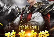 小说《穿越大明，随身自带百度搜索》章节阅读-侠客文学