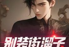 苏野的小说在哪里看?免费在线阅读别装街溜子,你就是神探-侠客文学