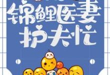 小说《九零恶妇：锦鲤医妻护夫忙》在线章节阅读-侠客文学