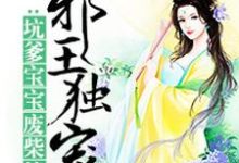 完结版《腹黑宝宝神偷娘亲》章节阅读-侠客文学