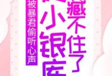 被暴君偷听心声,她小银库藏不住了小说,被暴君偷听心声,她小银库藏不住了章节在线阅读-侠客文学