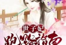 顾繁衣萧霁是哪本书的主角?寻找世子妃跑路指南免费阅读-侠客文学