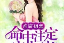 首席初恋：命中注定宠上瘾免费阅读，首席初恋：命中注定宠上瘾章节目录-侠客文学