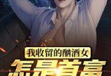 林海是哪本书的主角？寻找我收留的酗酒女，怎是首富继承人？免费阅读-侠客文学