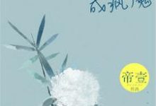 情到深处成疯魔小说全文哪里可以免费看？-侠客文学