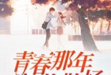 青春那年终将散场小说全文哪里可以免费看?-侠客文学