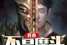已完结小说《我真不是魔头》章节免费阅读-侠客文学