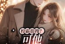 求黎酥顾辞澜小说免费资源-侠客文学