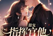 小说《甜宠：指挥官他温柔又腹黑》在线章节阅读-侠客文学