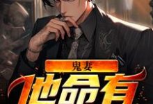 鬼妻：他命有红源小说，鬼妻：他命有红源在线阅读-侠客文学