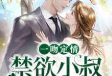 《一吻定情：禁欲小叔太难撩》小说章节在线试读，《一吻定情：禁欲小叔太难撩》最新章节目录-侠客文学