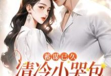 完结版《蓄谋已久：清冷小哭包被总裁娇宠了》章节阅读-侠客文学