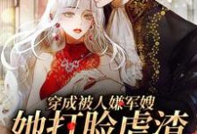 《穿成被人嫌军嫂，她打脸虐渣忙不停》小说主角沈枝陆骁章节章节免费在线阅读-侠客文学