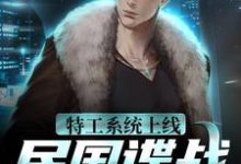 特工系统上线,民国谍战很轻松小说无弹窗阅读的网站推荐-侠客文学