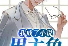 已完结小说《我成了小说男主角》在线章节阅读-侠客文学