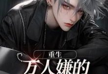《重生:万人嫌的小少爷逆袭了》小说章节在线试读,《重生:万人嫌的小少爷逆袭了》最新章节目录-侠客文学