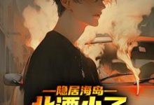 小说《隐居海岛，北漂小子混的风生水起》章节免费阅读-侠客文学