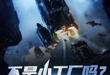 《不是小工厂吗?怎么成军火商了》小说章节在线试读,《不是小工厂吗?怎么成军火商了》最新章节目录-侠客文学