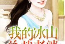 寻找我的冰山总裁老婆小说的最新更新章节-侠客文学