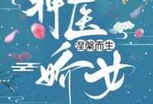 沈青鸾风璃宸的故事在哪本书里？免费阅读神医娇女涅槃而生-侠客文学