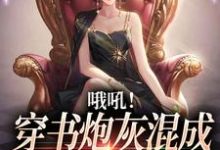 已完结小说《哦吼！穿书炮灰混成书中万人迷了》章节在线阅读-侠客文学