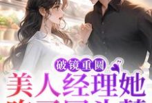 破镜重圆：美人经理她吃了回头草池澜陆枕风小说在线章节目录阅读最新章节-侠客文学