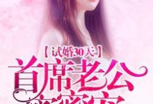 试婚30天：首席老公蜜蜜宠最新章节，试婚30天：首席老公蜜蜜宠免费阅读-侠客文学